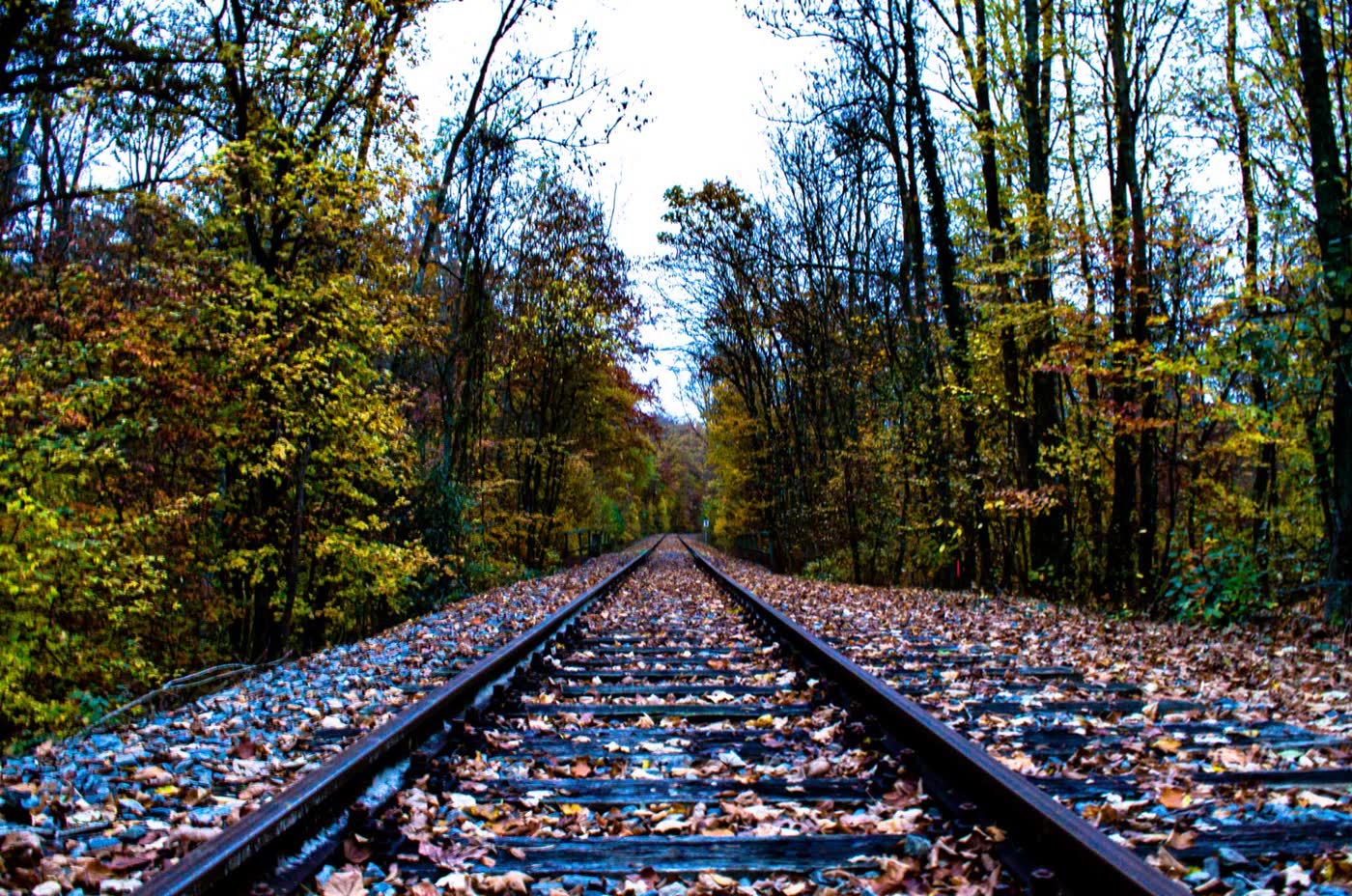 Aufnahme Rail